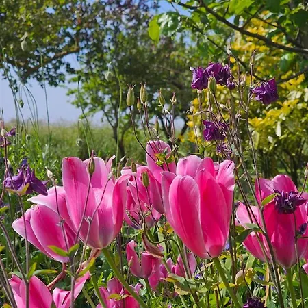 Golfkate Birdie Hage