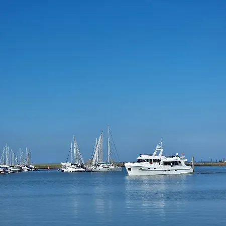 Golfkate Birdie Hage