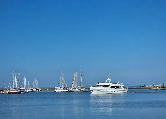 Golfkate Birdie Hage